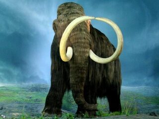 Lopen de mammoet en de dodo straks weer op aarde rond?
