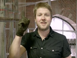 De beiaardier die niet meer opdringerig wilde zijn