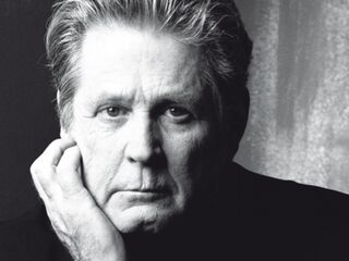 Het leven van Brian Wilson, in zijn eigen simpele woorden