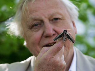 Planet Earth komt terug en de stem van David Attenborough hoort daarbij