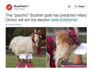TrendingVandaag: Dieren voorspellen winnaar verkiezingen VS