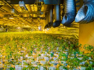 Drugscriminaliteit Zuid-Nederland onverminderd hoog