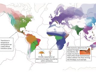 Drijvende krachten achter de verspreiding van diersoorten over de wereld