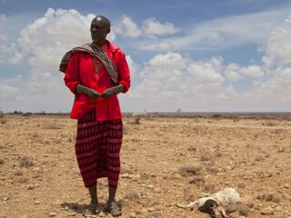 'Cynisme over geldbesteding Giro 555 is onterecht'