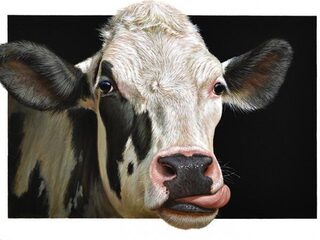 Wat is de magie van koeienkunst?