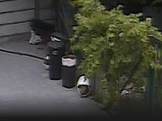 Privé camera's massaal gehackt, ook in Nederland