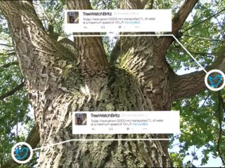 Privé: De exclusieve story van de twitter-boom