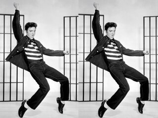 Tien fans bewijzen: The King is still alive