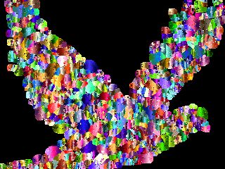 Kan onderwijs vrede brengen?