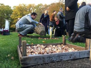 De Baltische staten lijken minder op elkaar dan je denkt