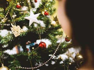 Zo overleeft je kerstboom de kerst