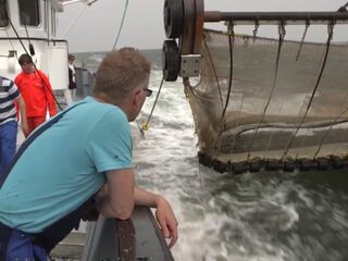 Bedenker pulskor ten einde raad na verbod Europees Parlement