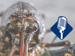 Podcast De Dag: Hoe bereid je een kreeft humaan?