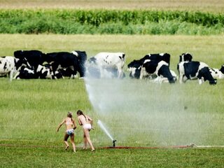 Deze mensen lijden het meest onder de aanhoudende droogte