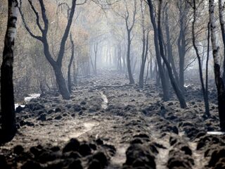 Peelbrand is grote klap voor hoogveenlandschap