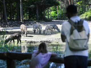 Waarom is 'Het echte leven in de dierentuin' zo succesvol?