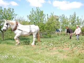 De wereld vanuit 'la campagne'