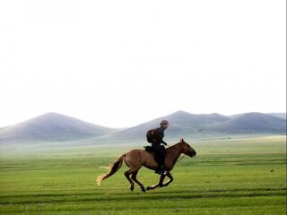 De zwaarste paardenrace ter wereld