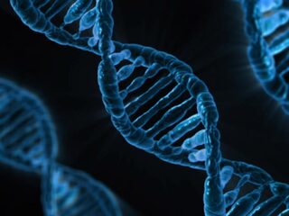 Stand.nl: Het DNA van alle Nederlanders moet in een databank worden opgeslagen