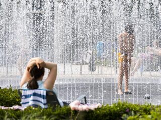 Tips voor heet weer: zoek de koelte op en blijf drinken