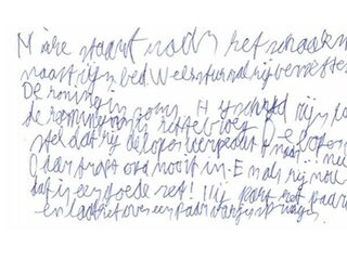 'Je hoofd wordt een trage computer als je niet genoeg schrijft'