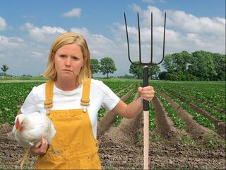 Dit is waarom ons eten zo goedkoop is