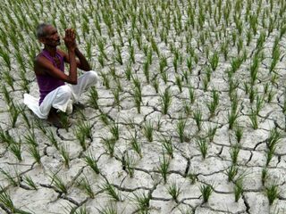 De Heilige Koe #5: Crisis op het Indiase platteland