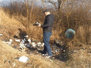 Podcast De Dag: waarom fraude met EU-subsidies zo lastig te stoppen is