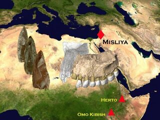 Moderne mens verliet Afrika eerder dan gedacht