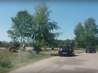 'Sleep maker Beekse Bergen-filmpje voor de rechter'