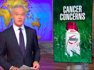 Controversieel bedrijf Monsanto heet voortaan Bayer