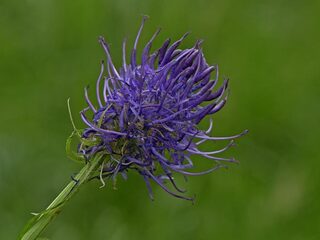 Zo ziet de natuur van de toekomst eruit