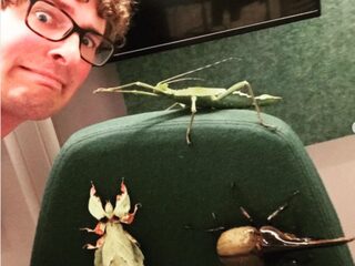 'Insecten zijn echt mijn ding'