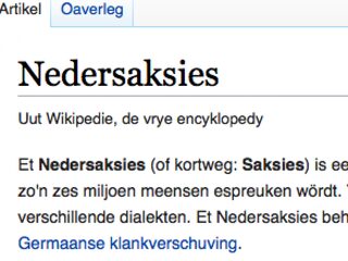 Doe normaal, zeggen de kinderen van Hendrik Jan Bökkers als ie plat praat