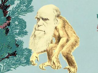 Podcast Tijdgeest #2: Waarom biologen vroeger apen en mensen wilden kruisen