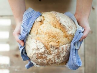 Eten we straks brood met 'veilige gluten'?