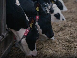 Als burger boer worden? Zo doe je dat