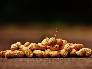 Zijn voedselallergieën straks verleden tijd?