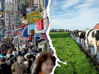 Jortcast #106: de Randstad versus de rest