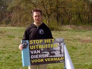 Is vuur in paardenshows dieronvriendelijk? Vraag het de paarden!