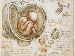 'De precisie waarmee Leonardo Da Vinci tekent is ongelofelijk'