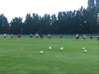 Oranje-en ontembare Leeuwinnen: een wereld van verschil