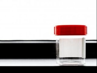 Bjorn heeft misschien wel 200 halfbroers en -zussen