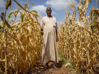 'De Wereldbank kan het goed bedoelen, maar feitelijk nodigen ze de kinderlokkers uit op een kinderfeestje'
