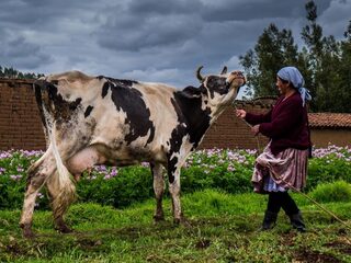 Sanne Derks zegde haar baan in het onderwijs op en werd prijswinnend fotograaf