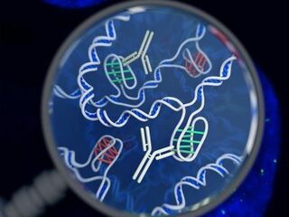 Bijzonder: nieuwe dna-structuur ontdekt in levende cellen
