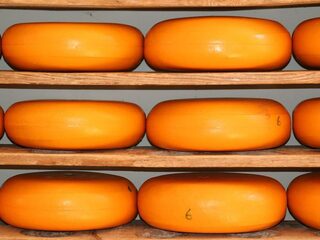 Nederland verkleurt: Apartheid in de polder