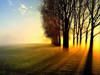 'Hoe kun je een probleem voor natuur oplossen door minder natuur te beschermen?'