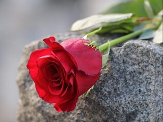 Bouwt jouw partner nabestaandenpensioen voor jou op?