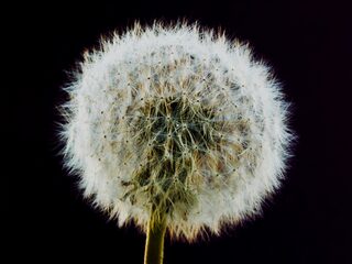 Hoe ziet ons dagelijks leven er nu uit?